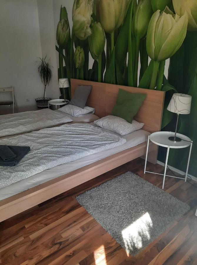 ווידן אם סי Das Tulpen Apartment מראה חיצוני תמונה